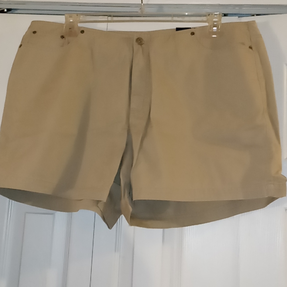 Size 20 Venezia Khaki Shorts